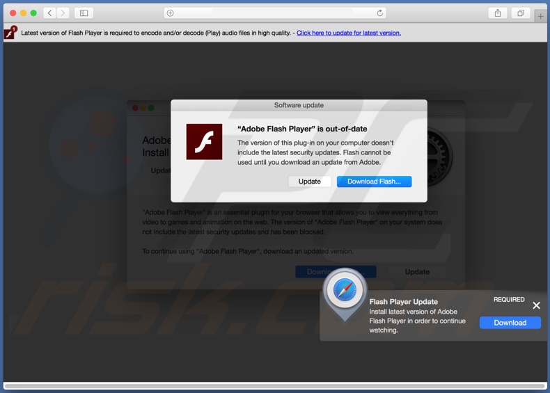 updated adobe flash player for mac